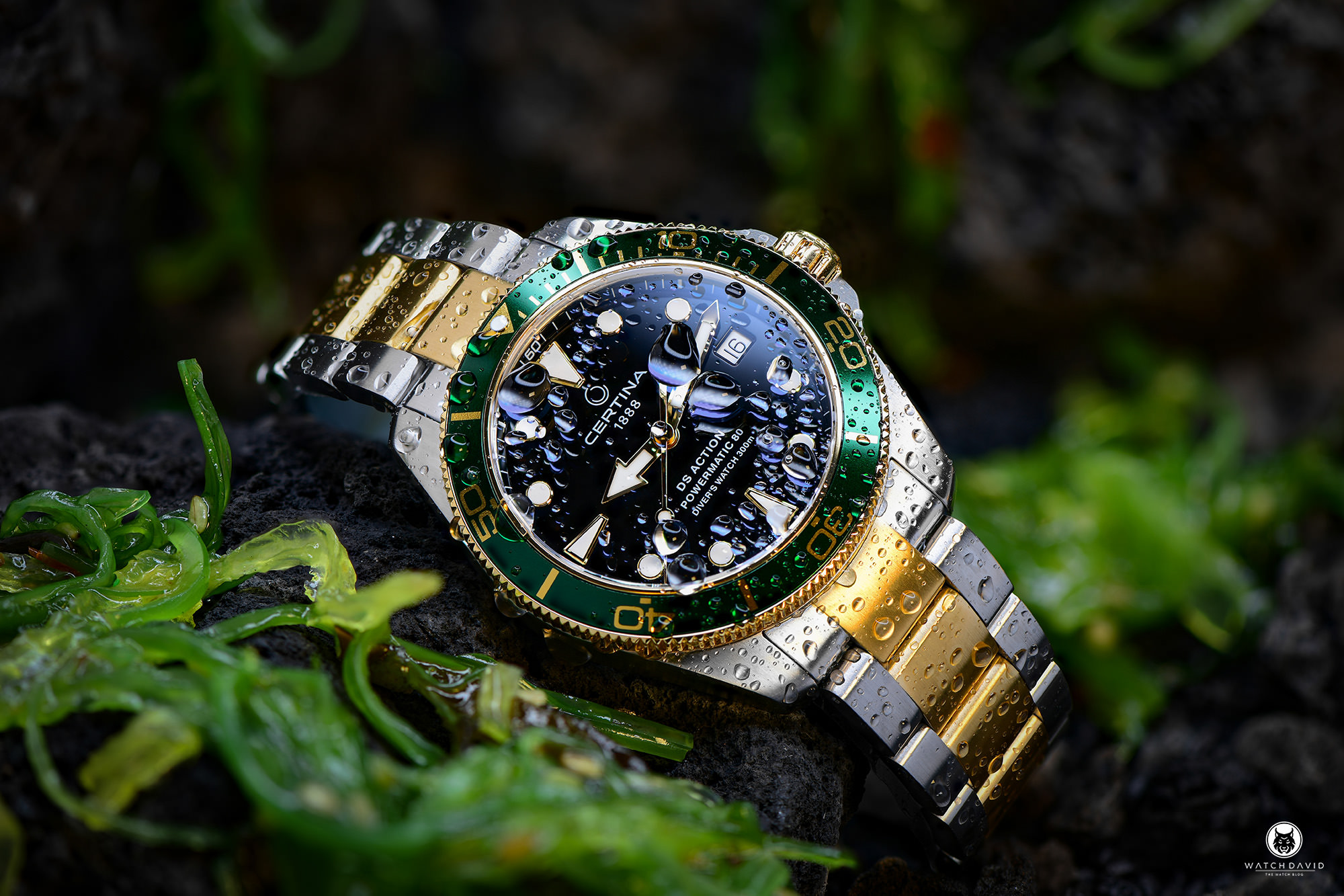 Certina DS Action Diver - 38 Millimeter Review – WATCHDAVID®