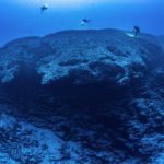 La PÇrouse Deep cliff Laurent Ballesta Blancpain Ocean Commitment