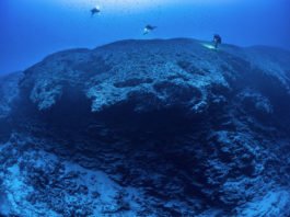 La PÇrouse Deep cliff Laurent Ballesta Blancpain Ocean Commitment