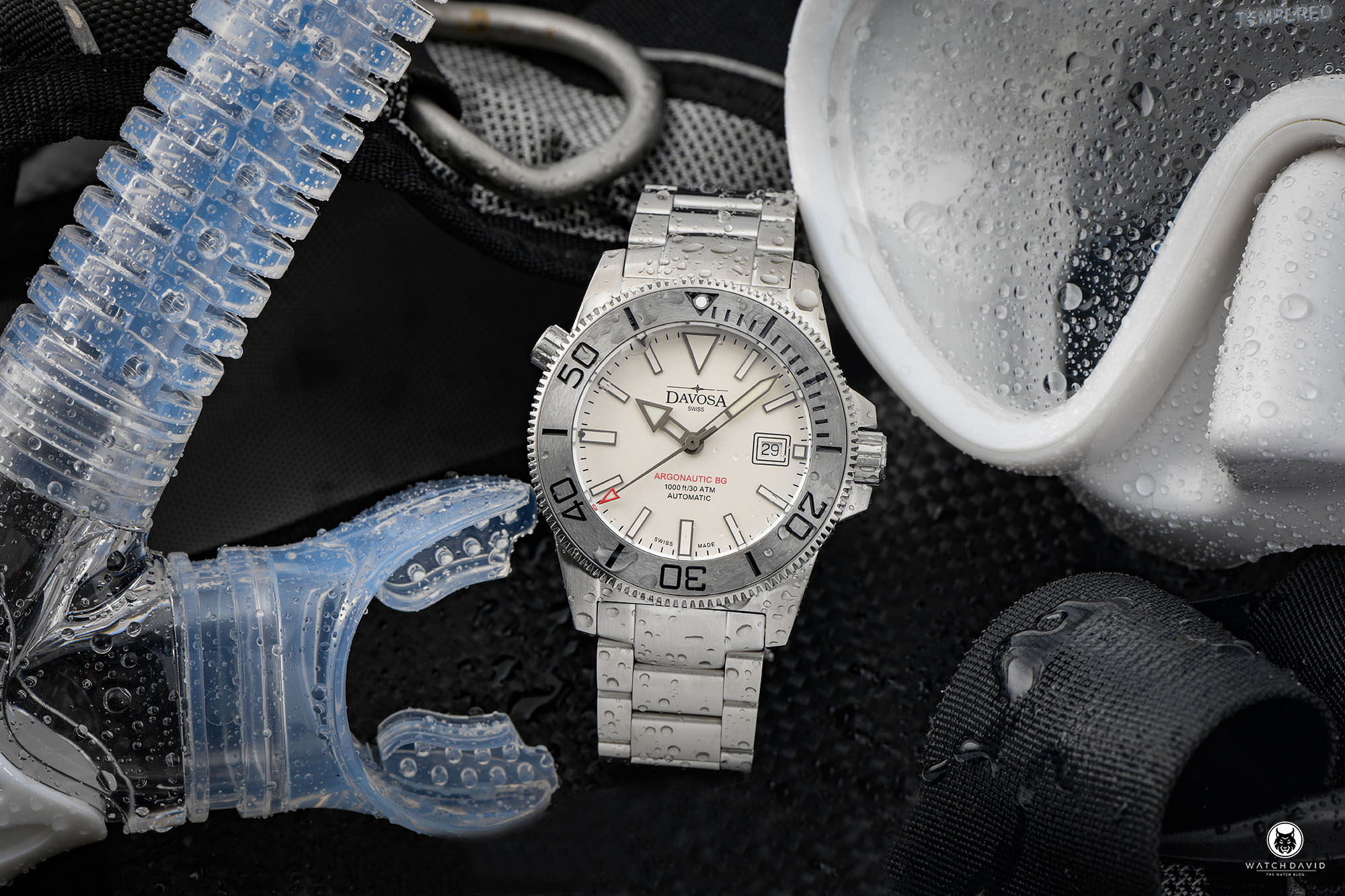 Best of Dive Watches Davosa Ternos Ceramic GMT Pepsi Diver